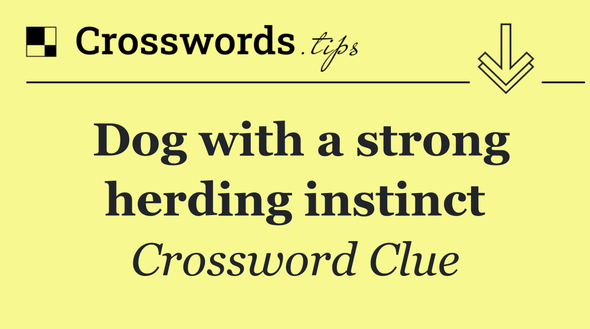 Dog with a strong herding instinct