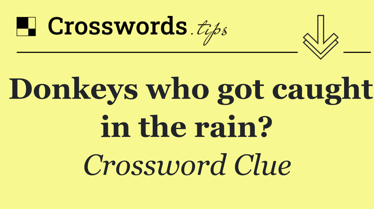 Donkeys who got caught in the rain?