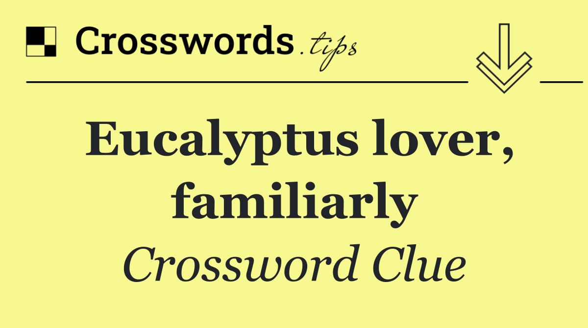 Eucalyptus lover, familiarly