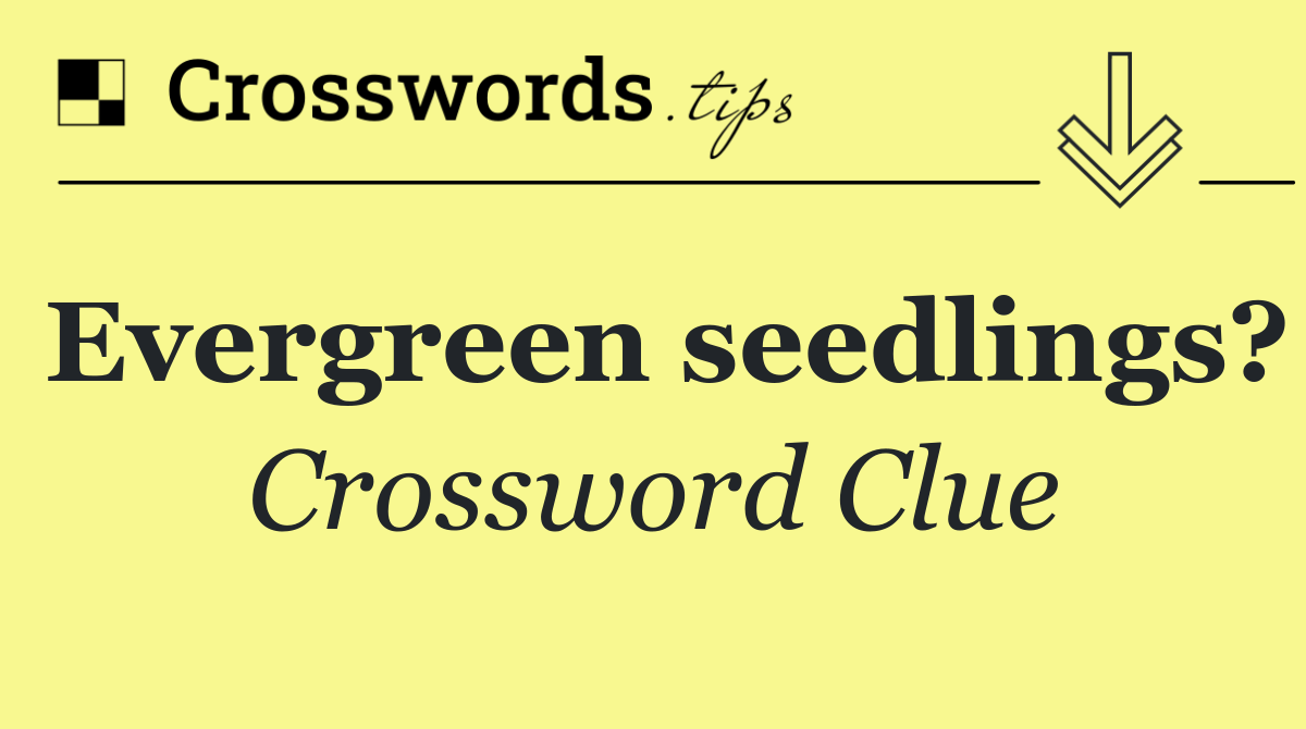 Evergreen seedlings?