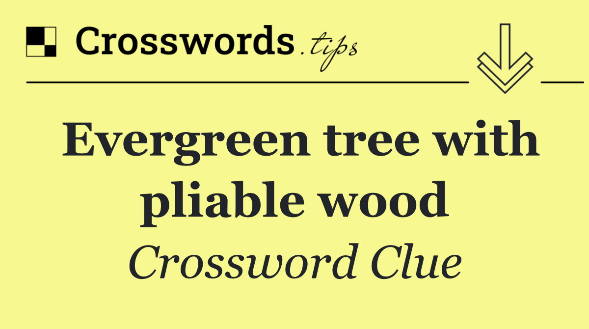 Evergreen tree with pliable wood