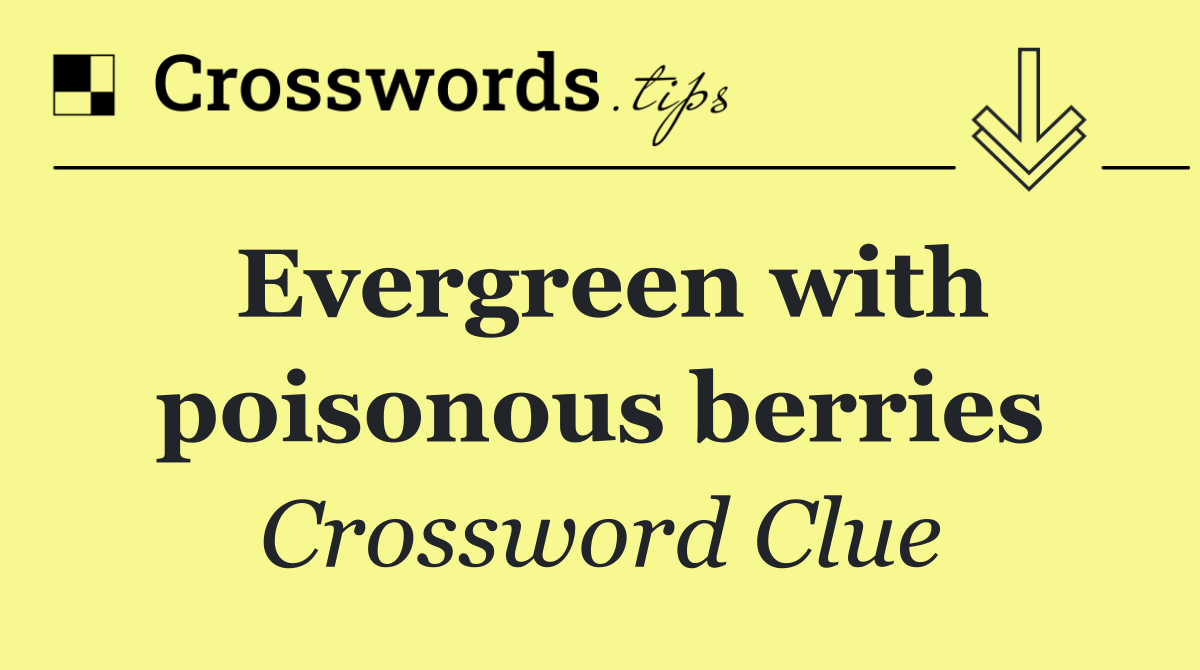 Evergreen with poisonous berries