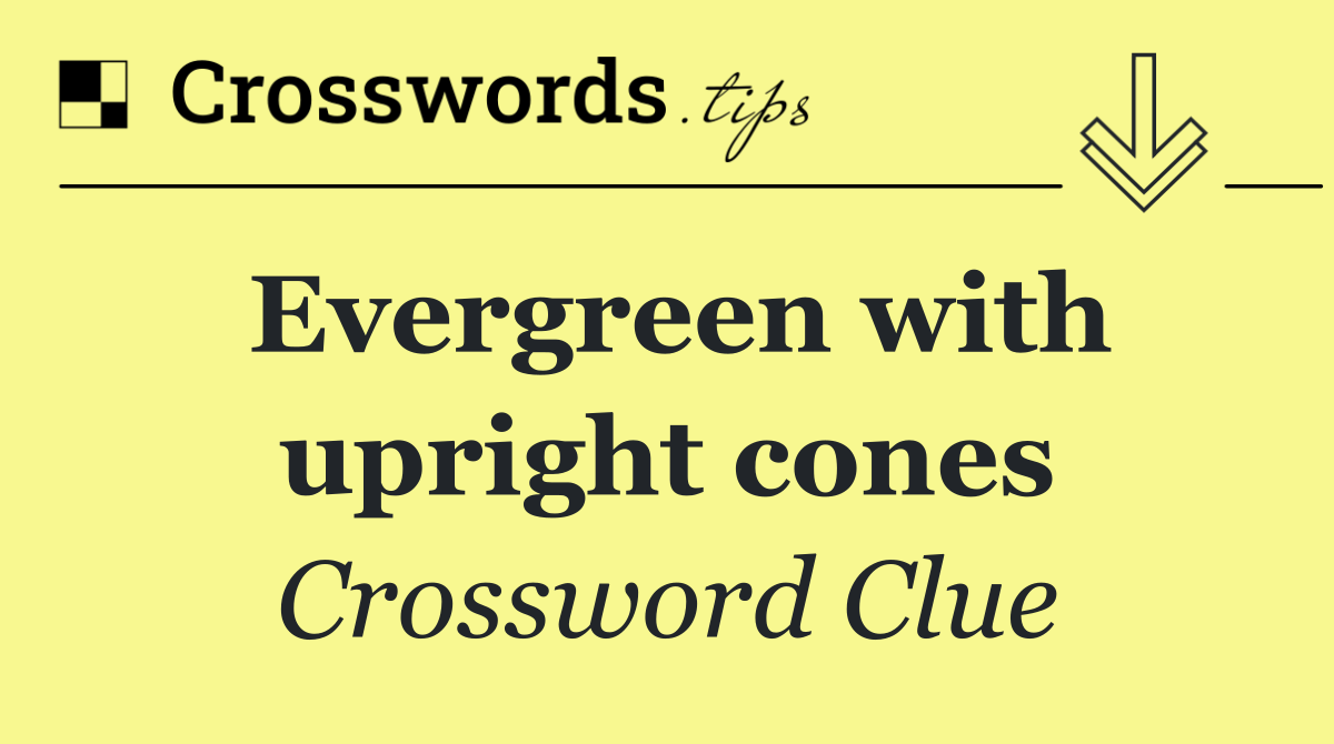 Evergreen with upright cones