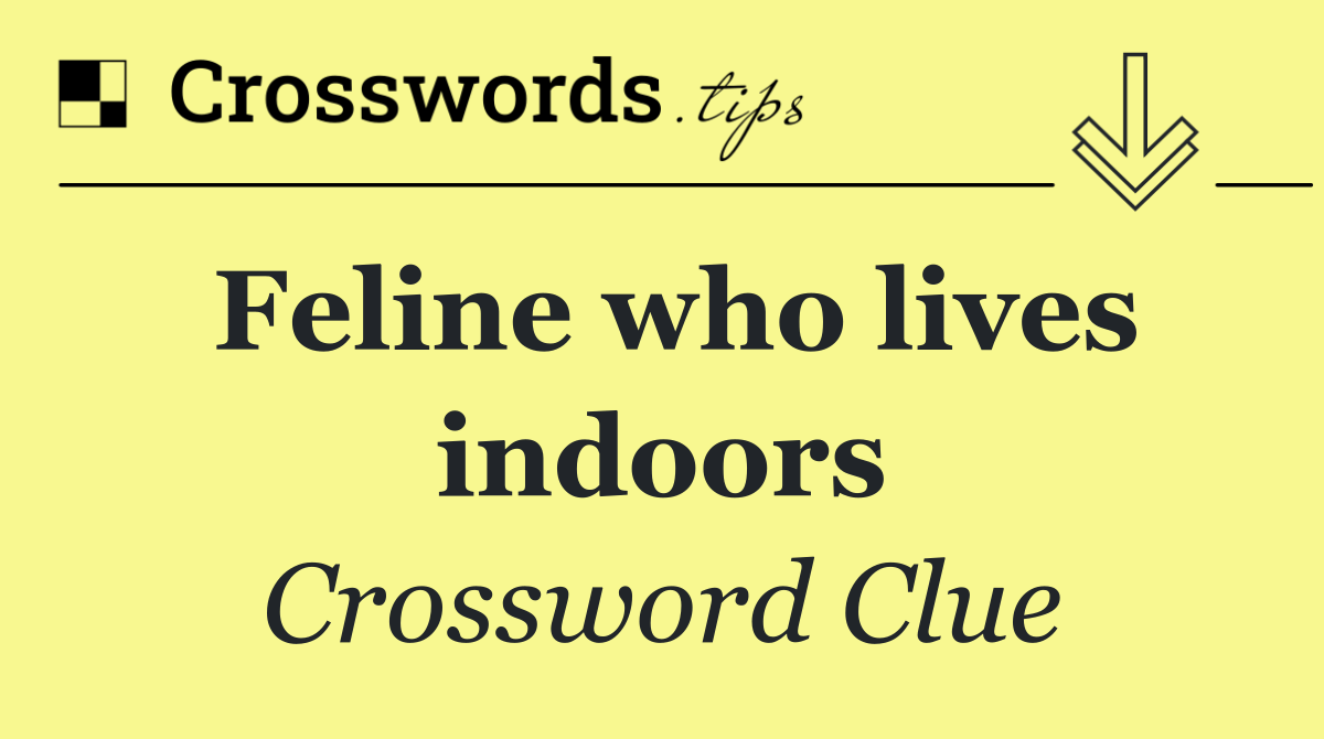 Feline who lives indoors