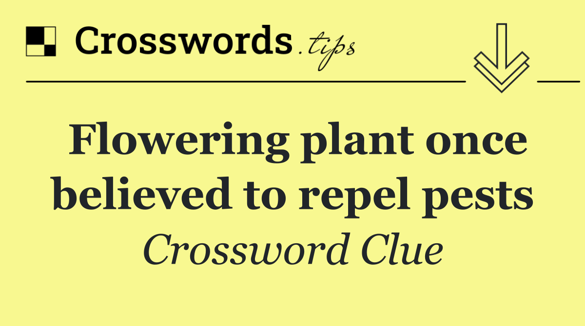 Flowering plant once believed to repel pests