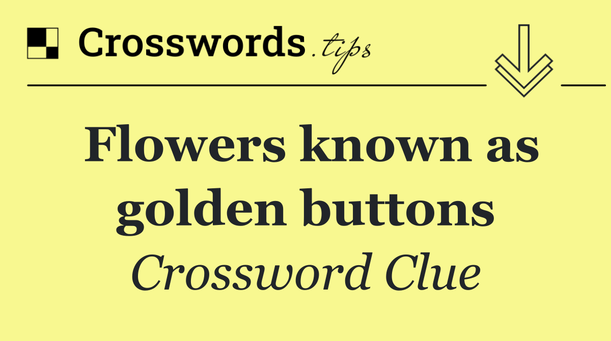 Flowers known as golden buttons