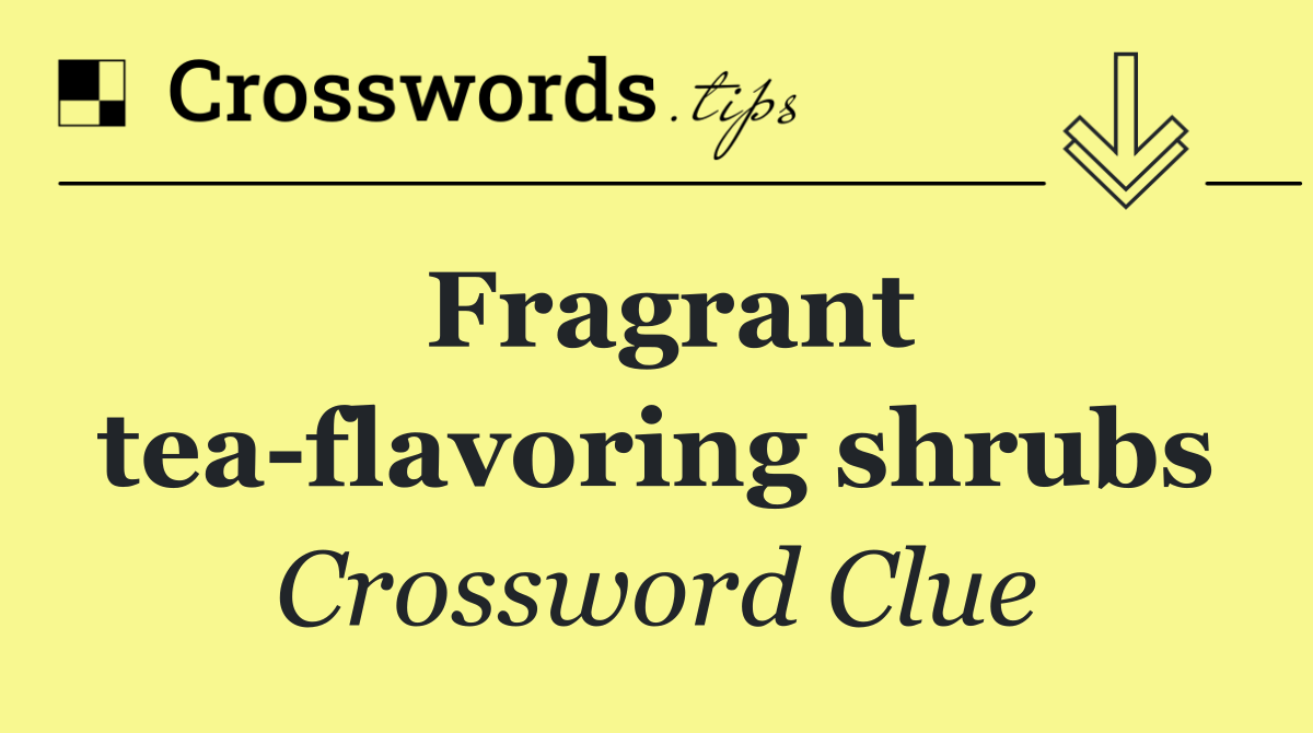 Fragrant tea flavoring shrubs