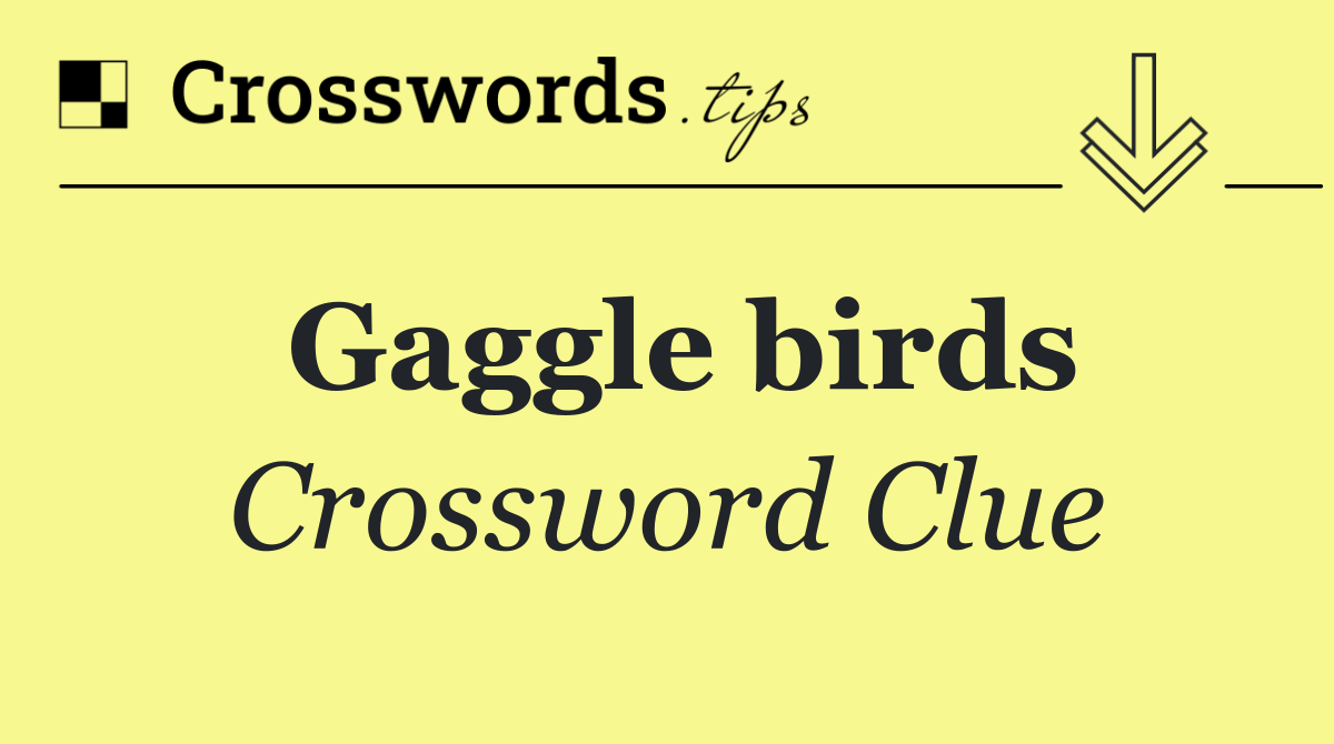 Gaggle birds