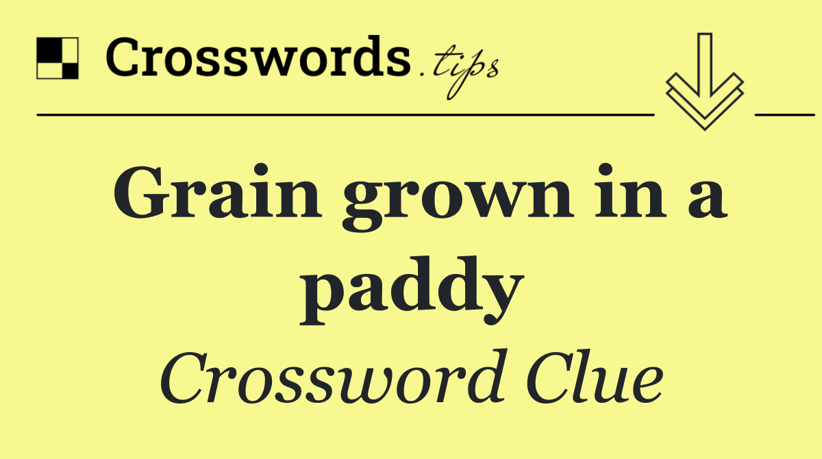 Grain grown in a paddy
