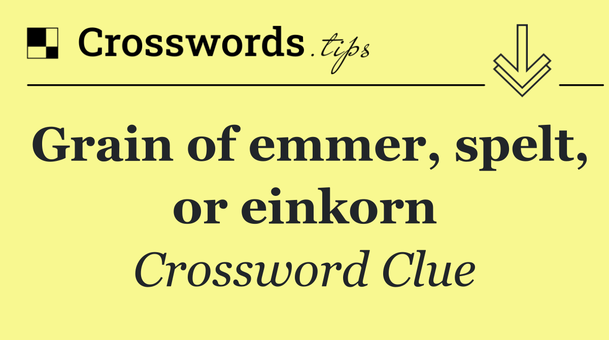 Grain of emmer, spelt, or einkorn