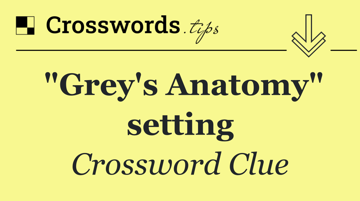 "Grey's Anatomy" setting