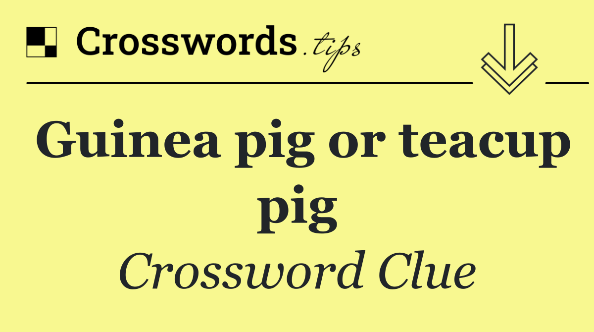 Guinea pig or teacup pig