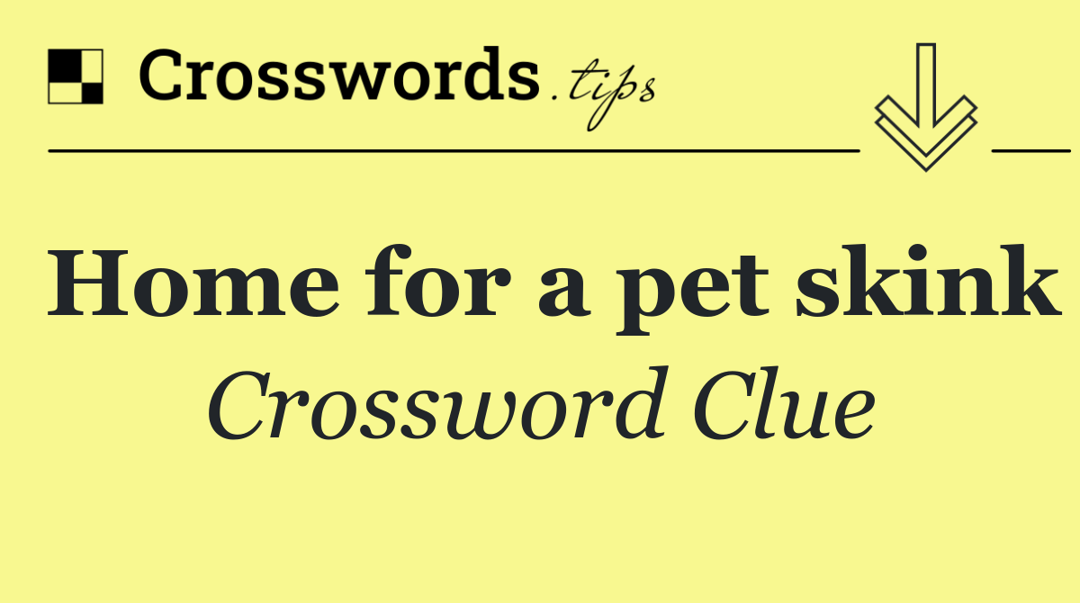 Home for a pet skink