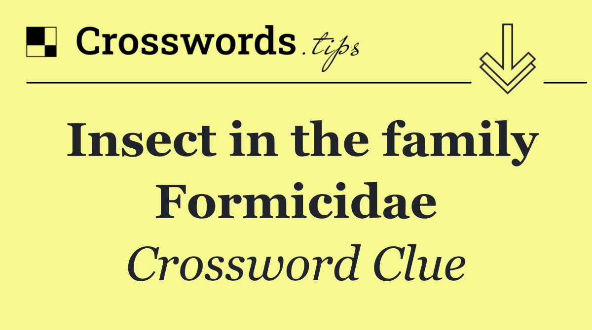 Insect in the family Formicidae