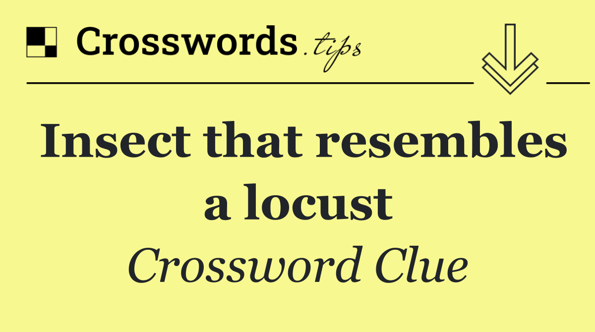 Insect that resembles a locust