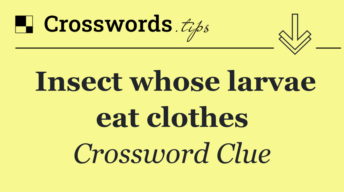 Insect whose larvae eat clothes