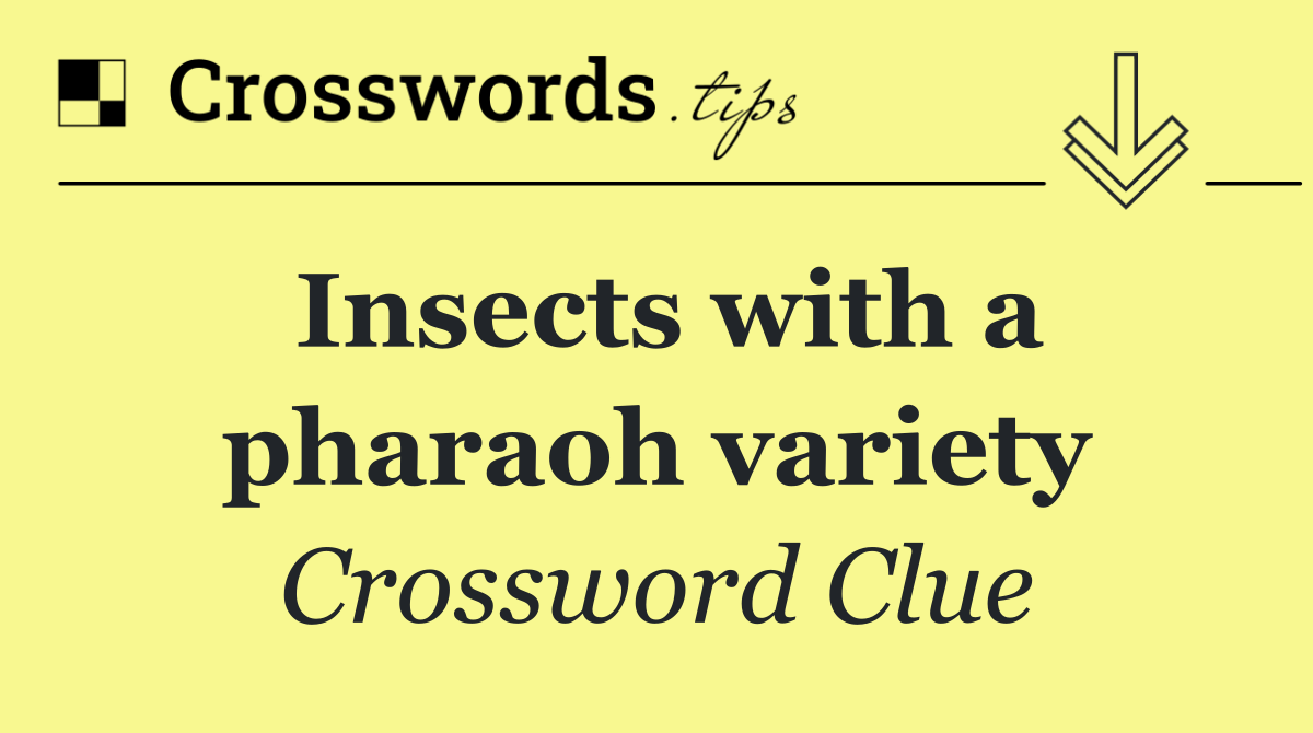 Insects with a pharaoh variety