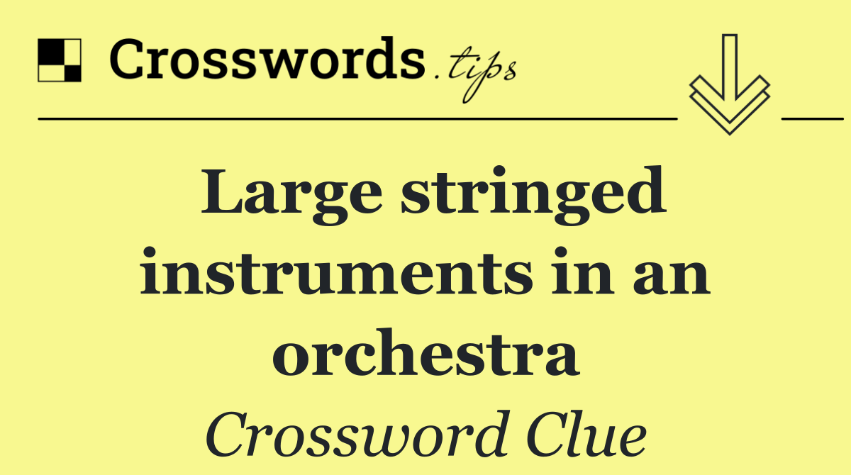 Large stringed instruments in an orchestra