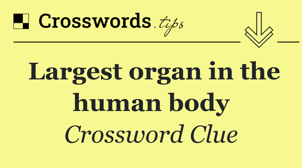 Largest organ in the human body