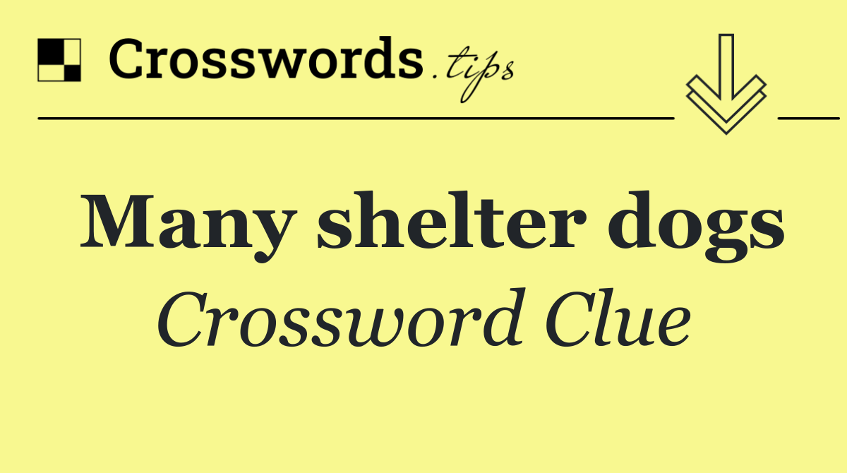 Many shelter dogs
