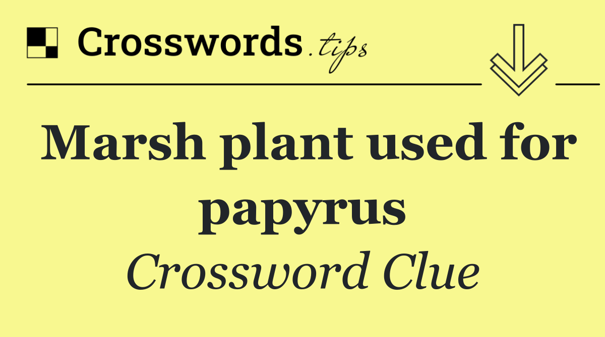 Marsh plant used for papyrus