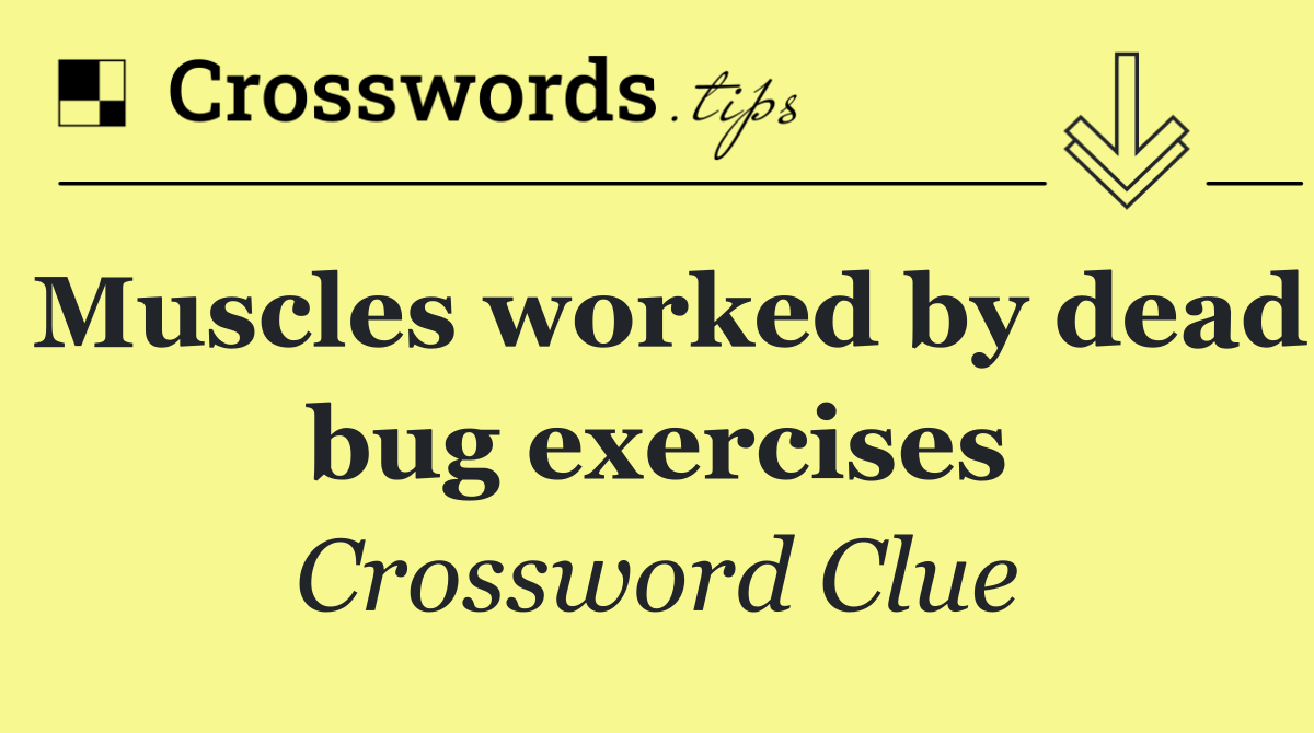 Muscles worked by dead bug exercises