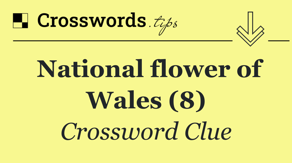 National flower of Wales (8)