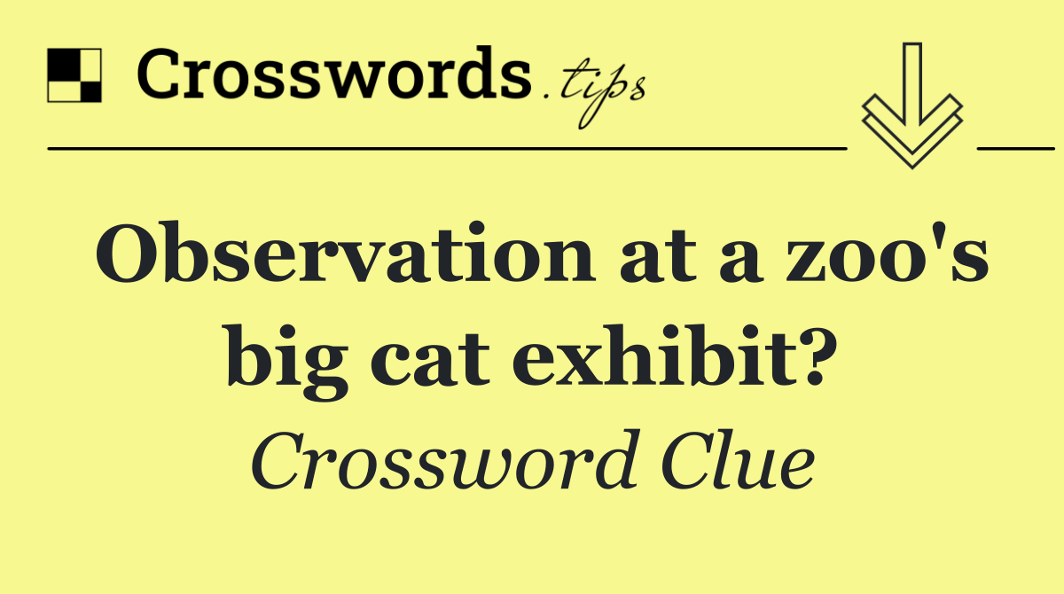 Observation at a zoo's big cat exhibit?