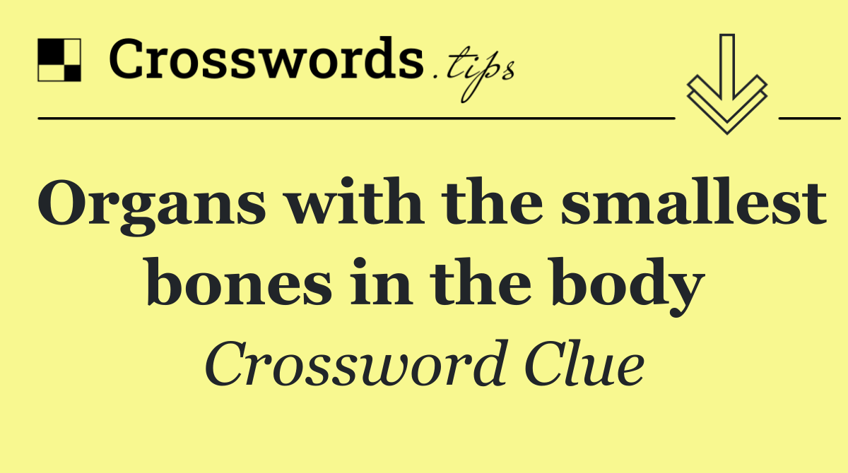 Organs with the smallest bones in the body