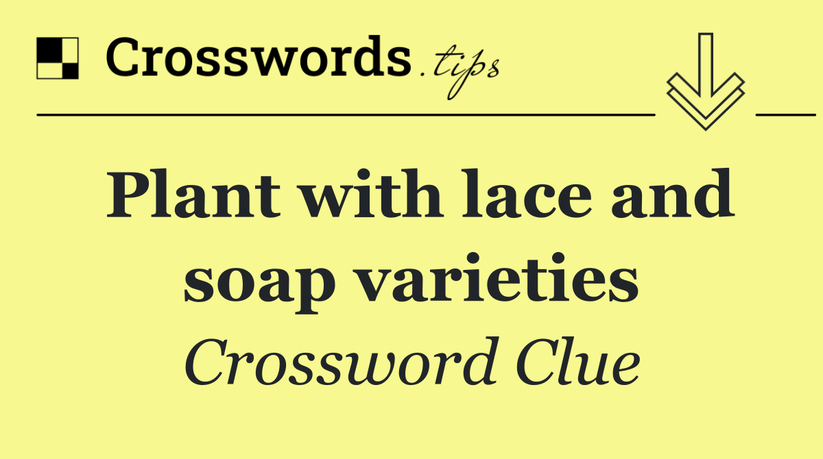 Plant with lace and soap varieties