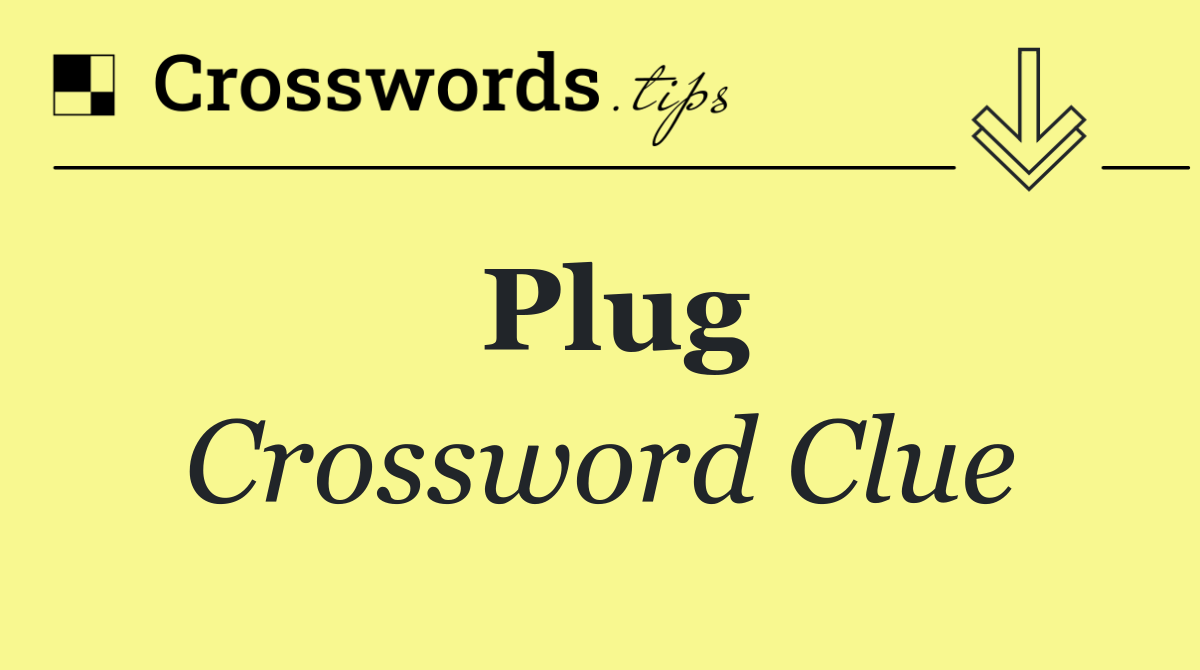 Plug