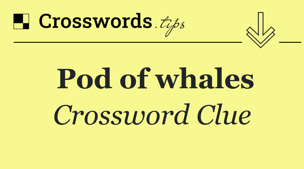 Pod of whales