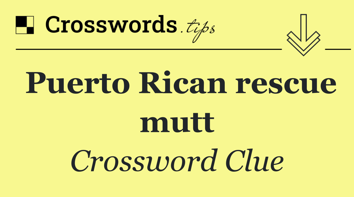 Puerto Rican rescue mutt