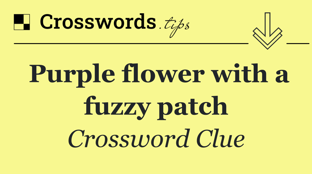 Purple flower with a fuzzy patch