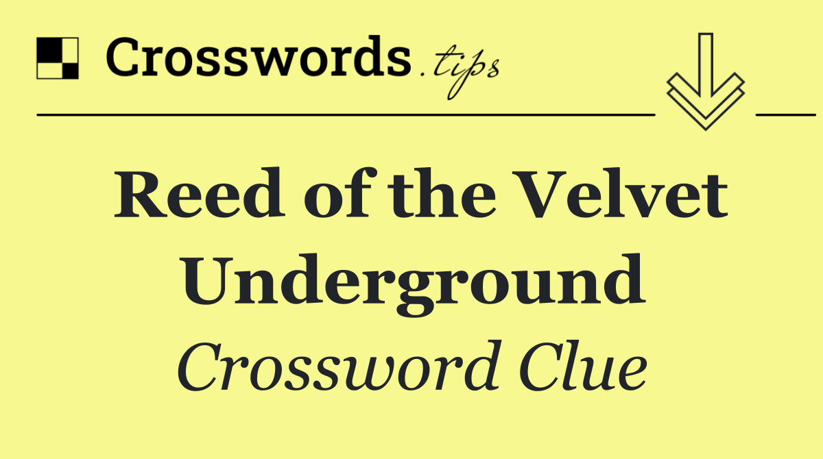 Reed of the Velvet Underground