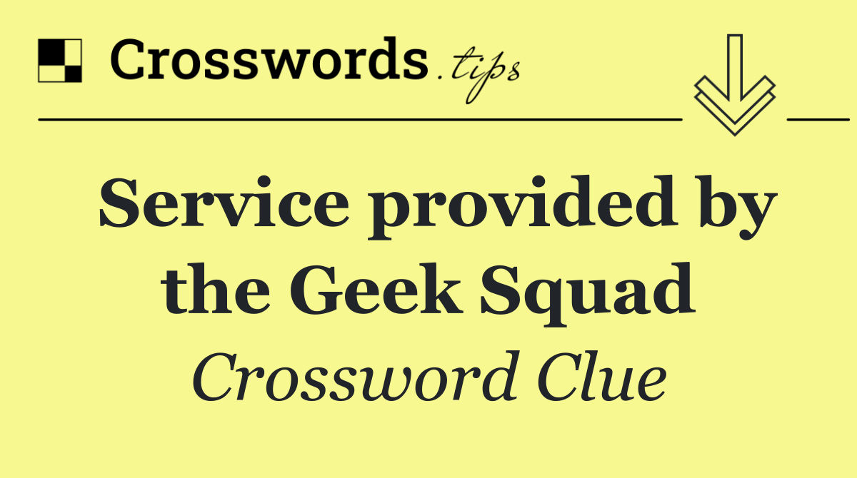 Service provided by the Geek Squad