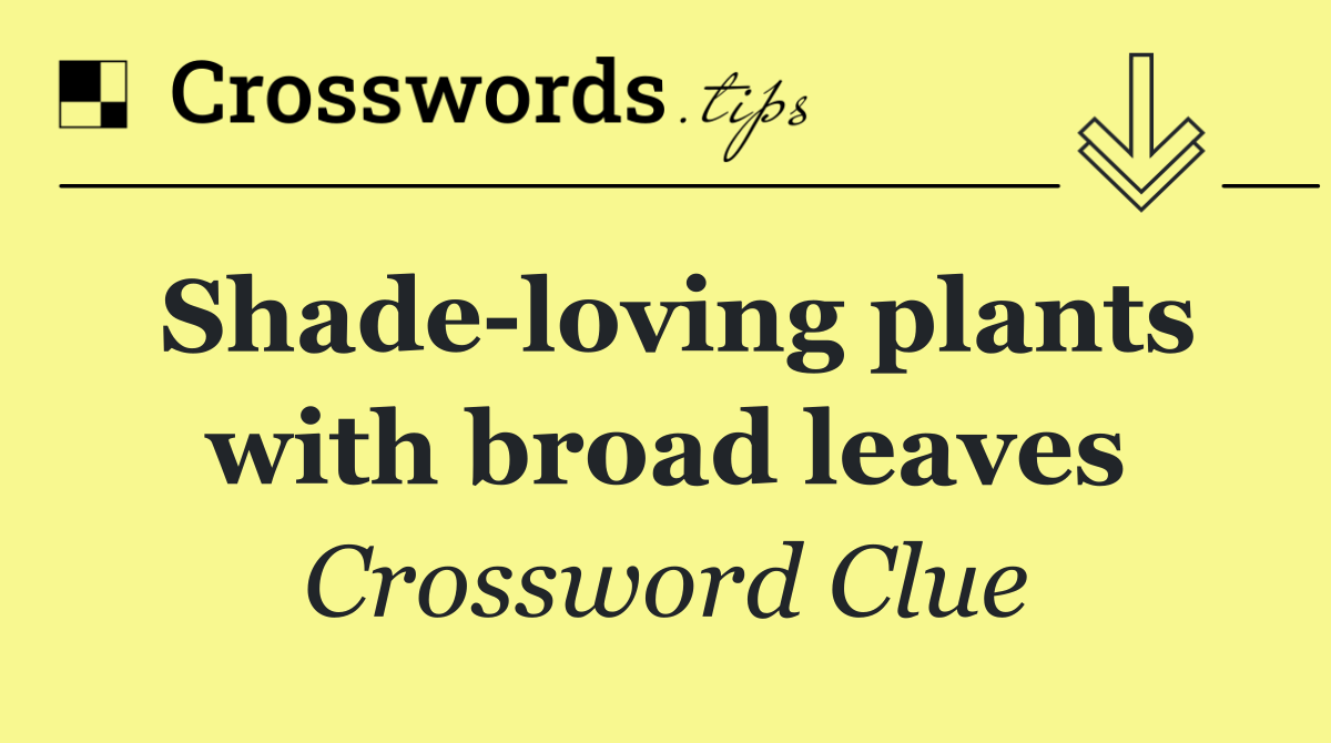 Shade loving plants with broad leaves