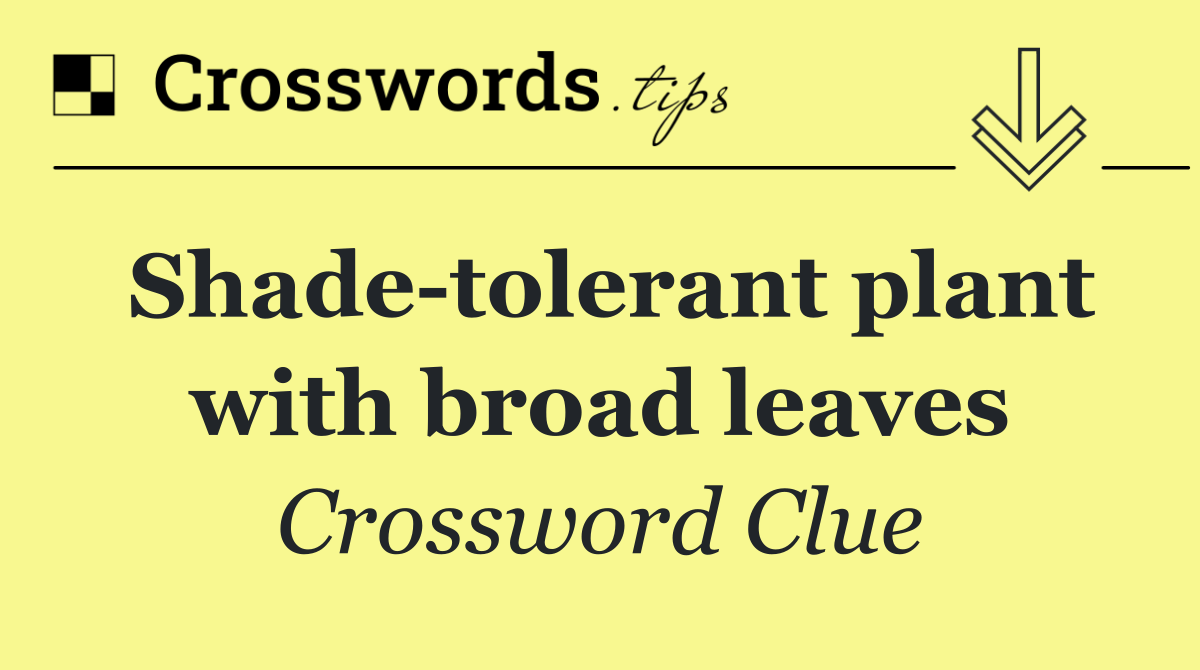 Shade tolerant plant with broad leaves