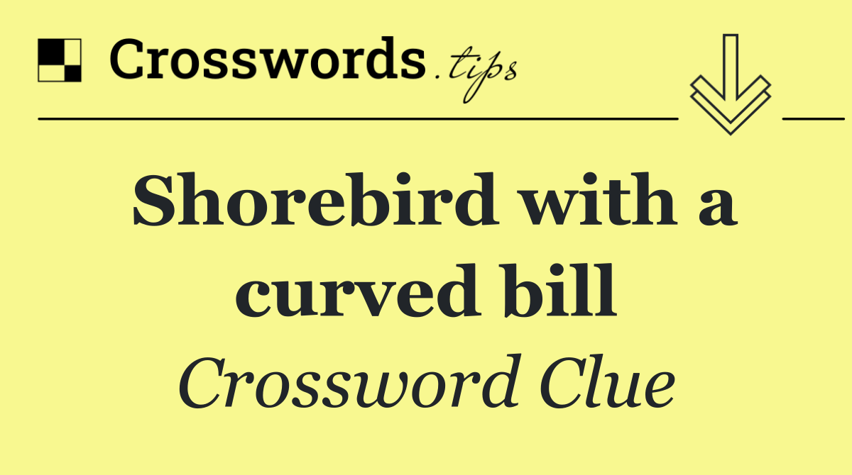 Shorebird with a curved bill