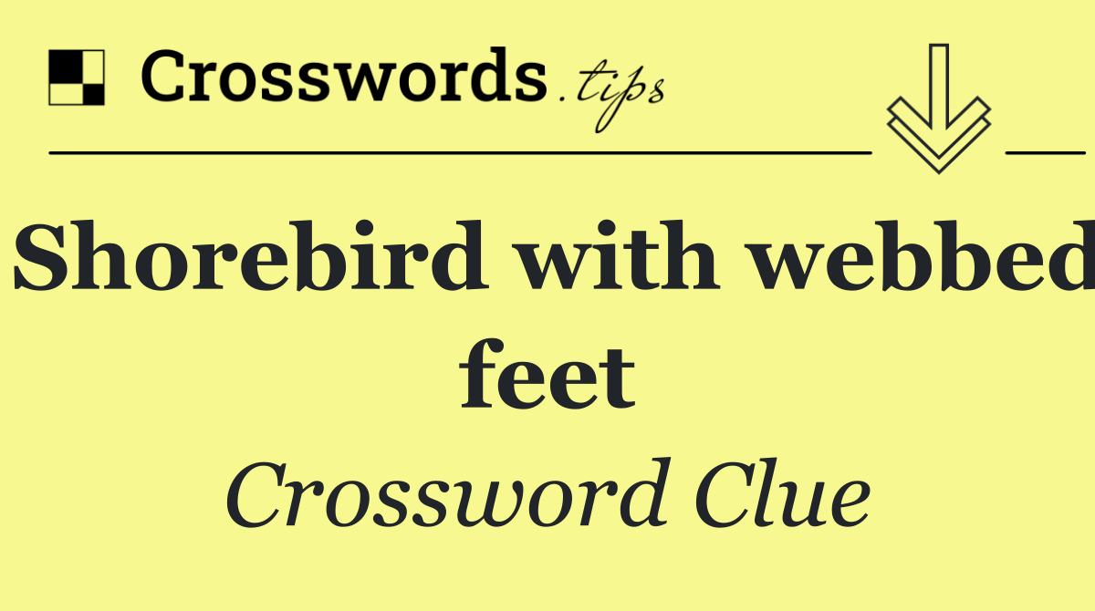 Shorebird with webbed feet