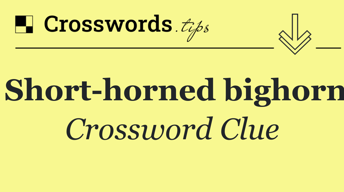 Short horned bighorn