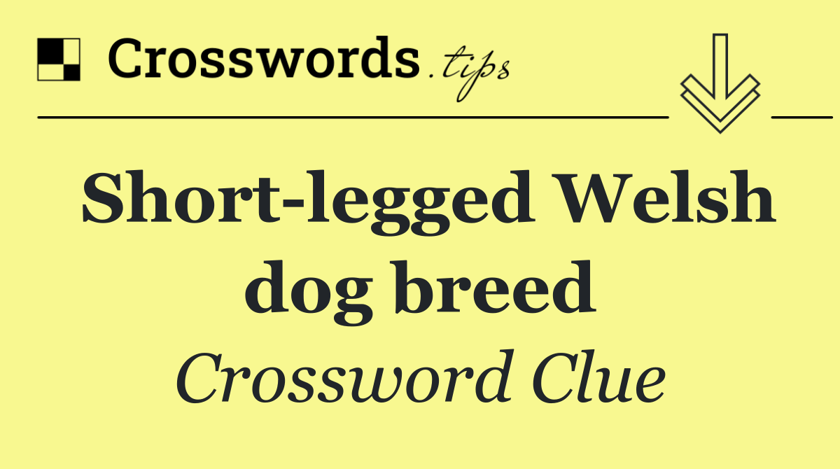 Short legged Welsh dog breed