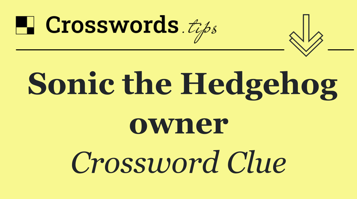 Sonic the Hedgehog owner