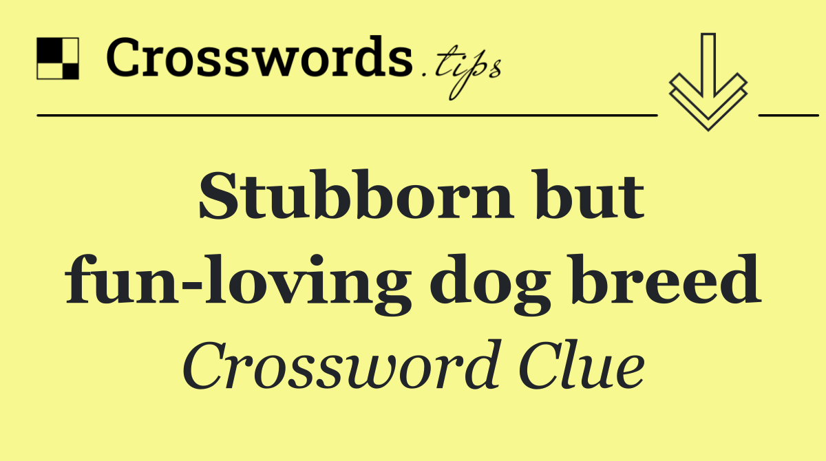 Stubborn but fun loving dog breed