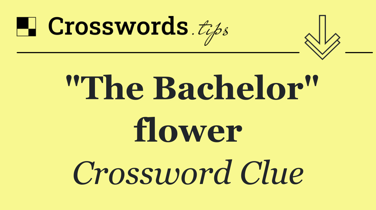 "The Bachelor" flower