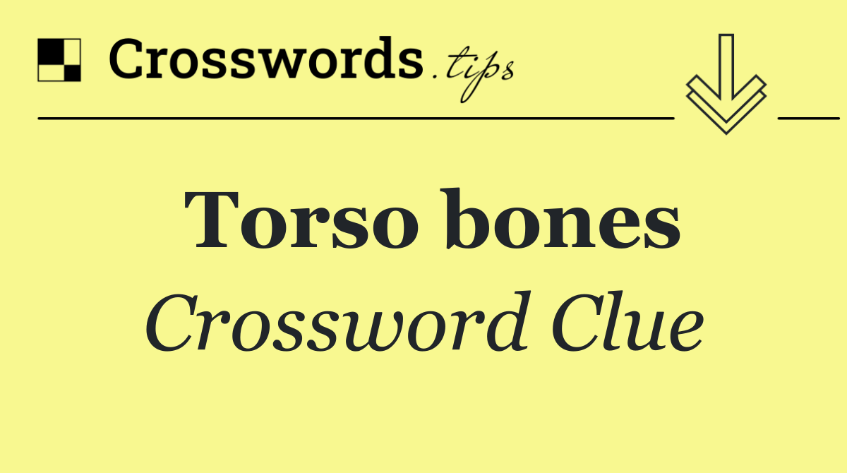 Torso bones