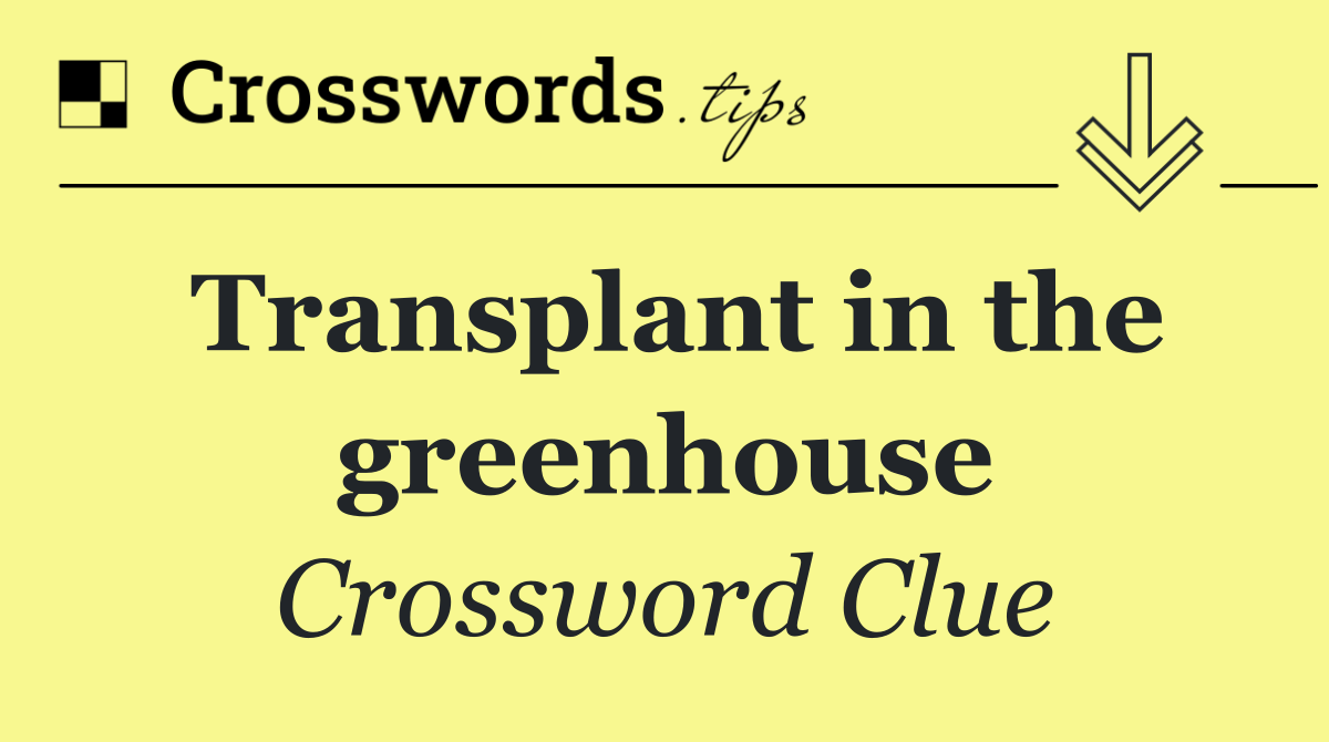 Transplant in the greenhouse