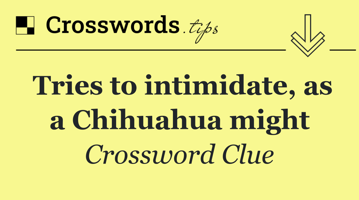 Tries to intimidate, as a Chihuahua might
