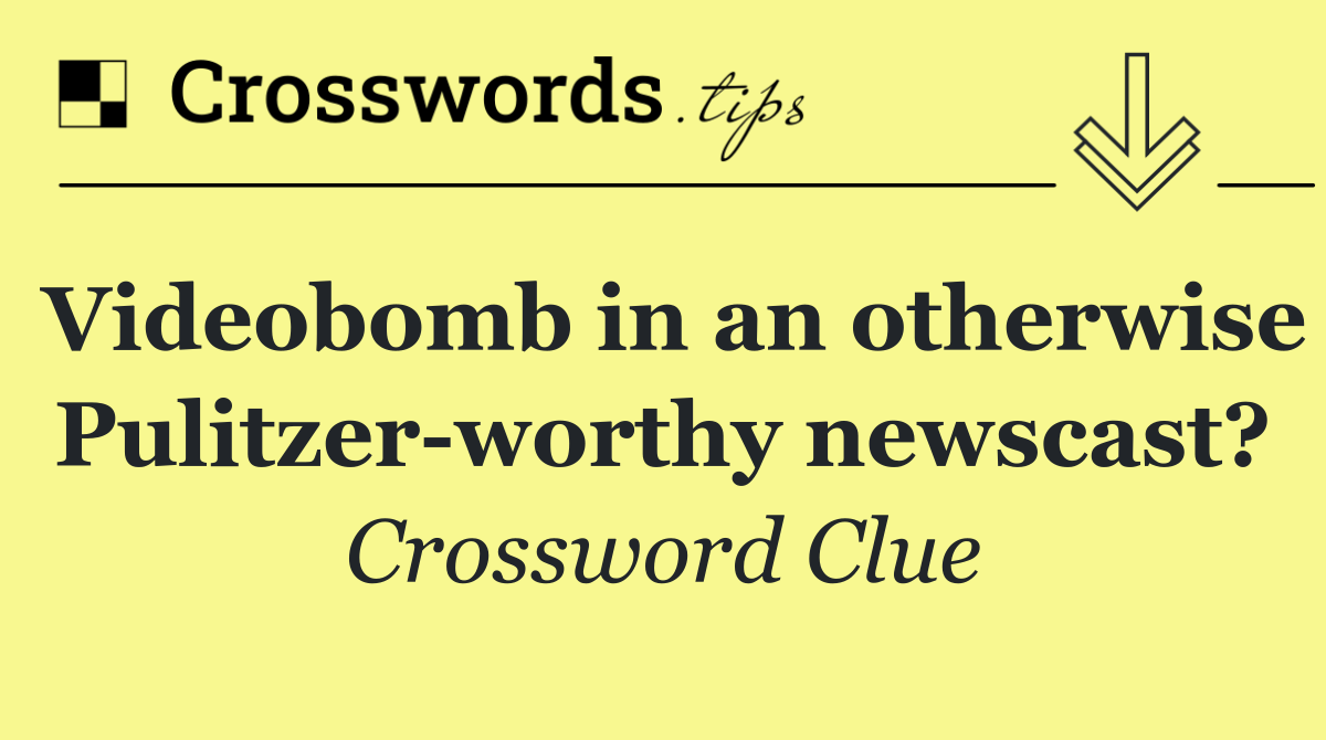 Videobomb in an otherwise Pulitzer worthy newscast?