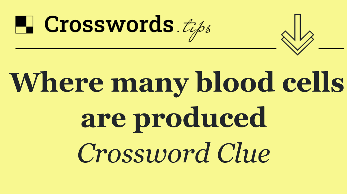 Where many blood cells are produced